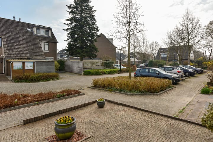 Foto 28 van Zorggras 29