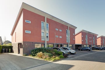 Robijnstoep thumbnail
