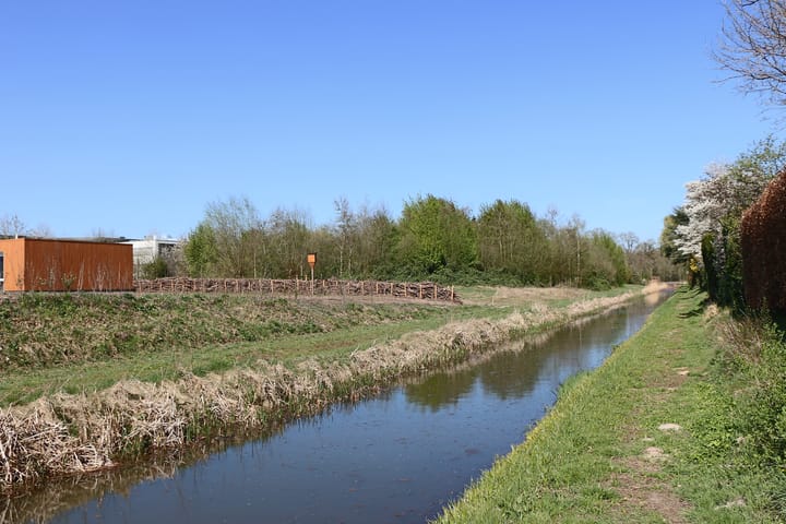 Photo 23 of Vogelwikke 19