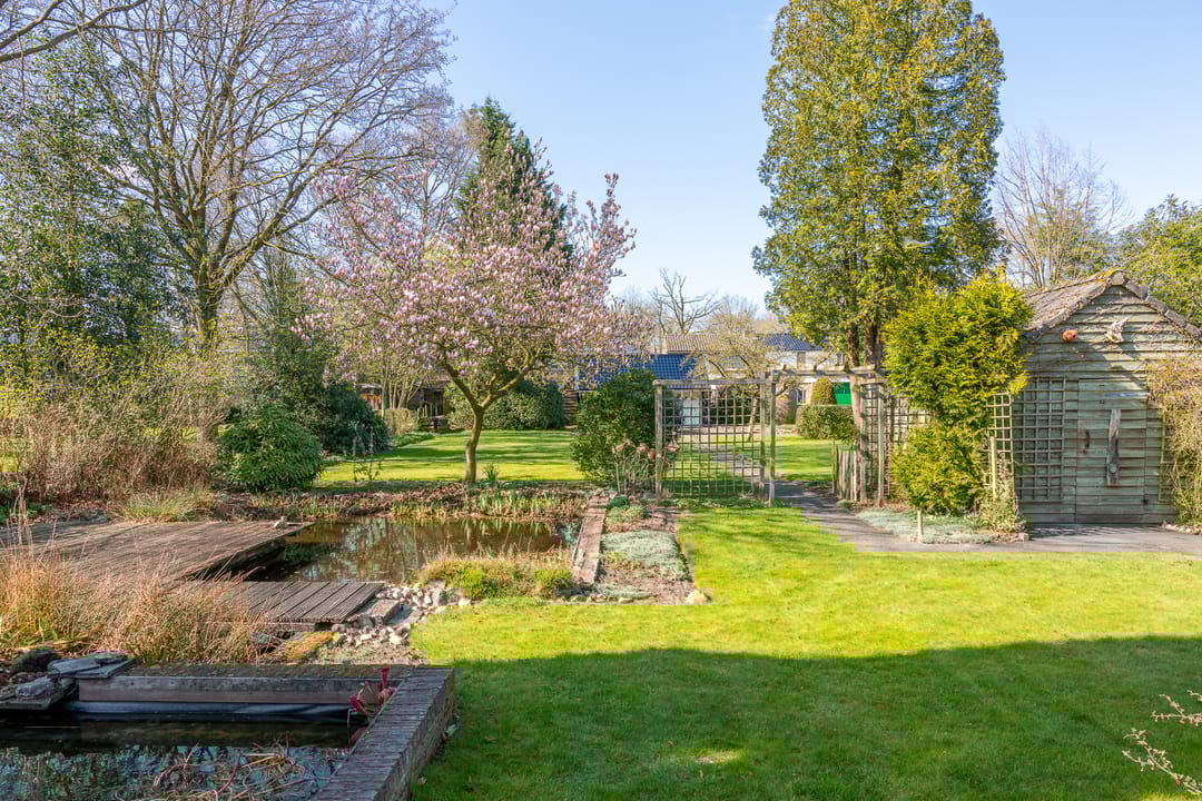 Foto 28 van Aelderstraat 51