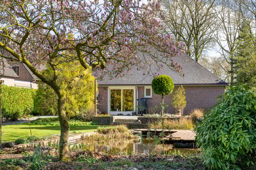 Foto 31 van Aelderstraat 51