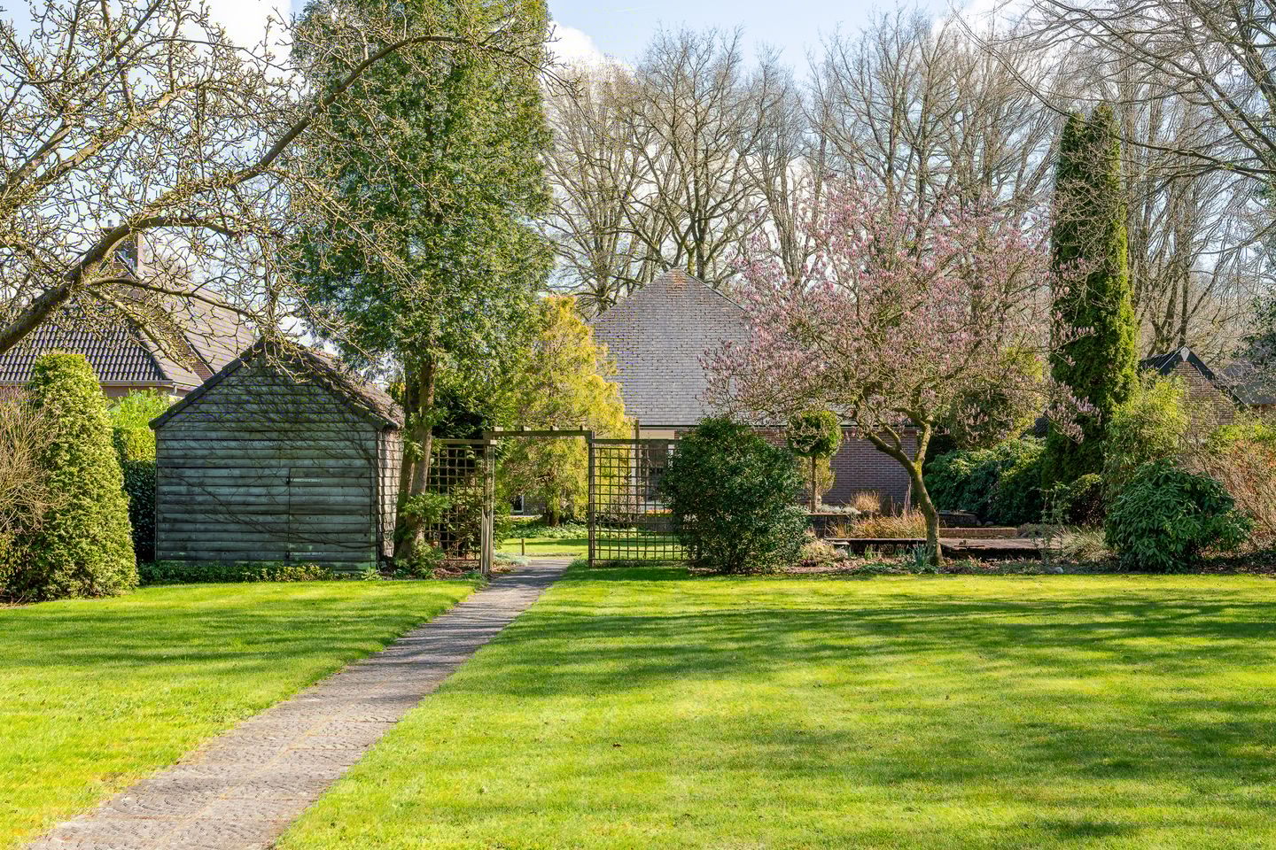 Foto 35 van Aelderstraat 51