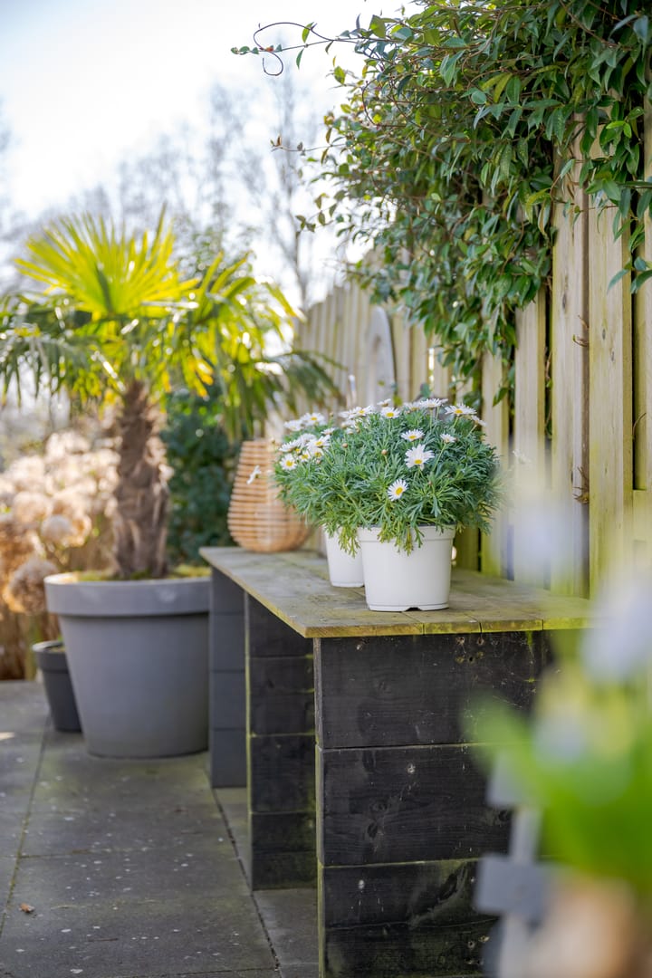 Foto 36 van Dorpsstraat 43