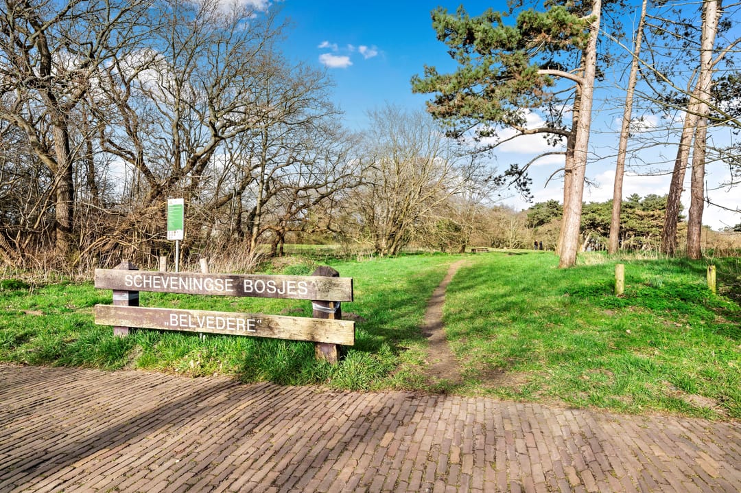 Photo 32 of Parkweg 17-F