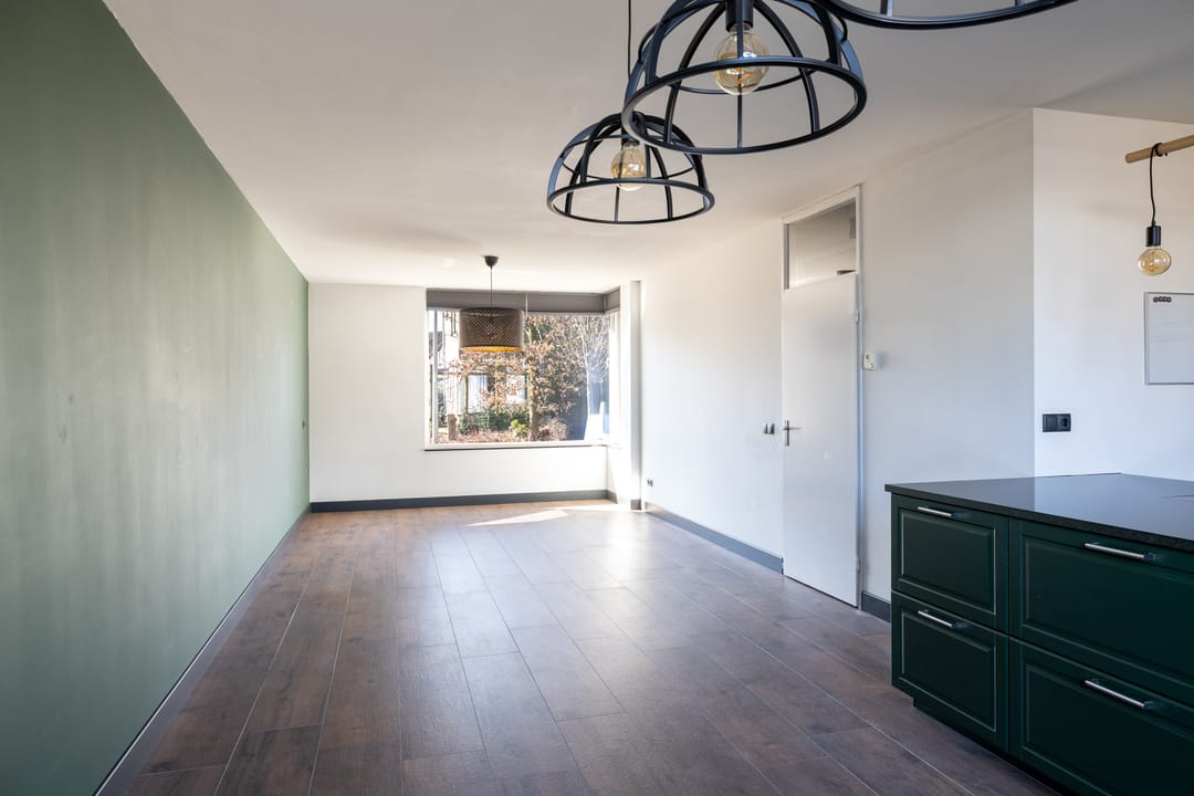 Photo 2 of Zilvermeeuw 101