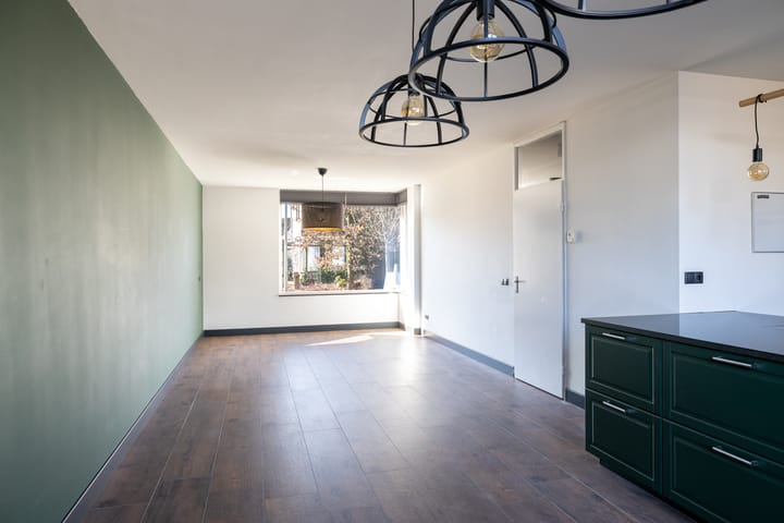 Foto 2 van Zilvermeeuw 101