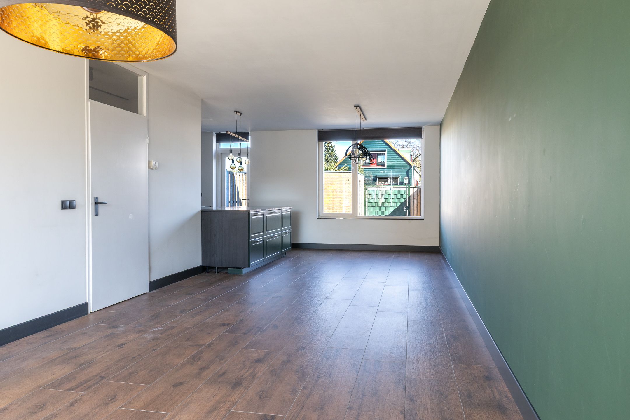 Photo 3 of Zilvermeeuw 101