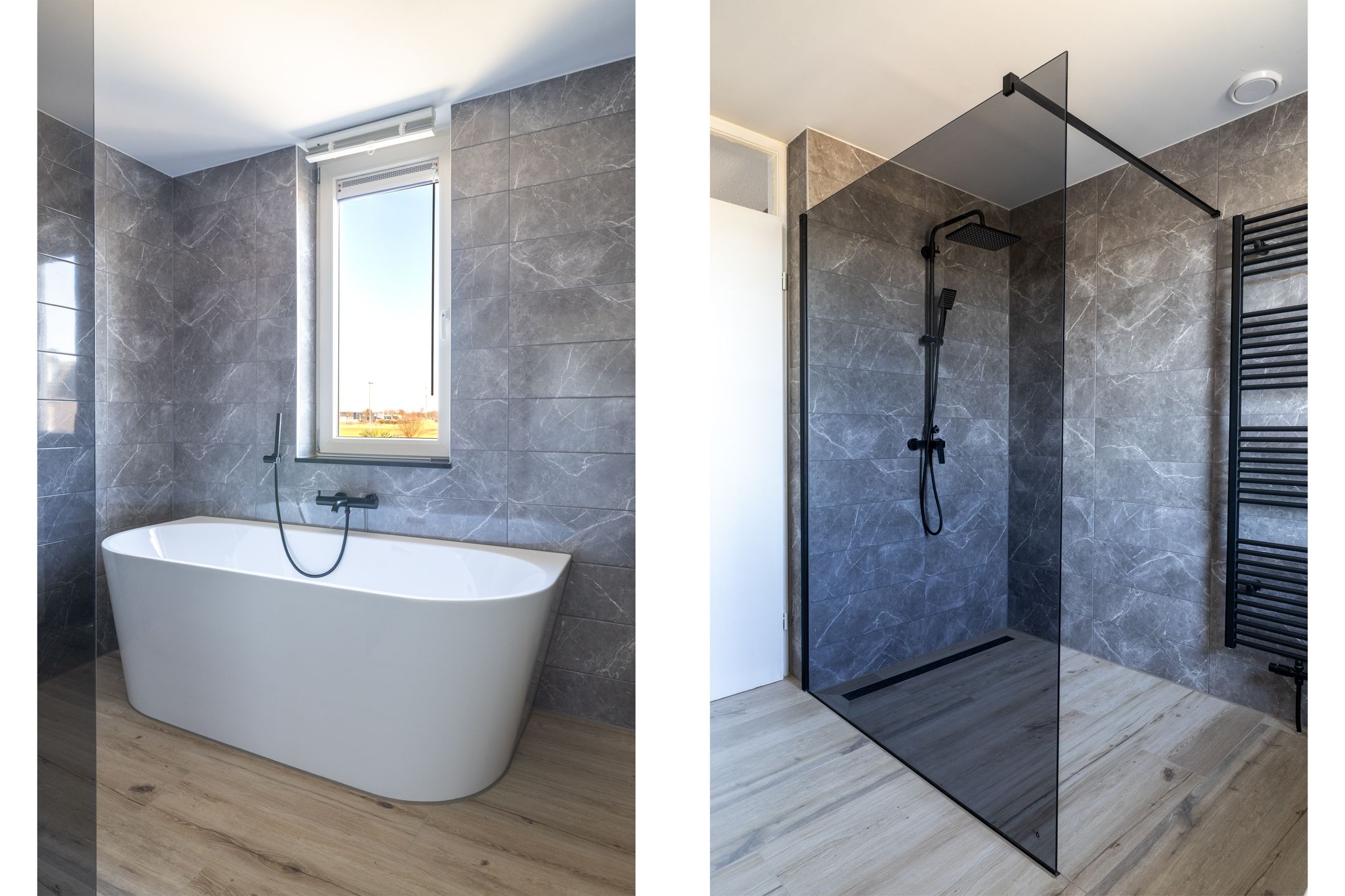 Photo 6 of Zilvermeeuw 101