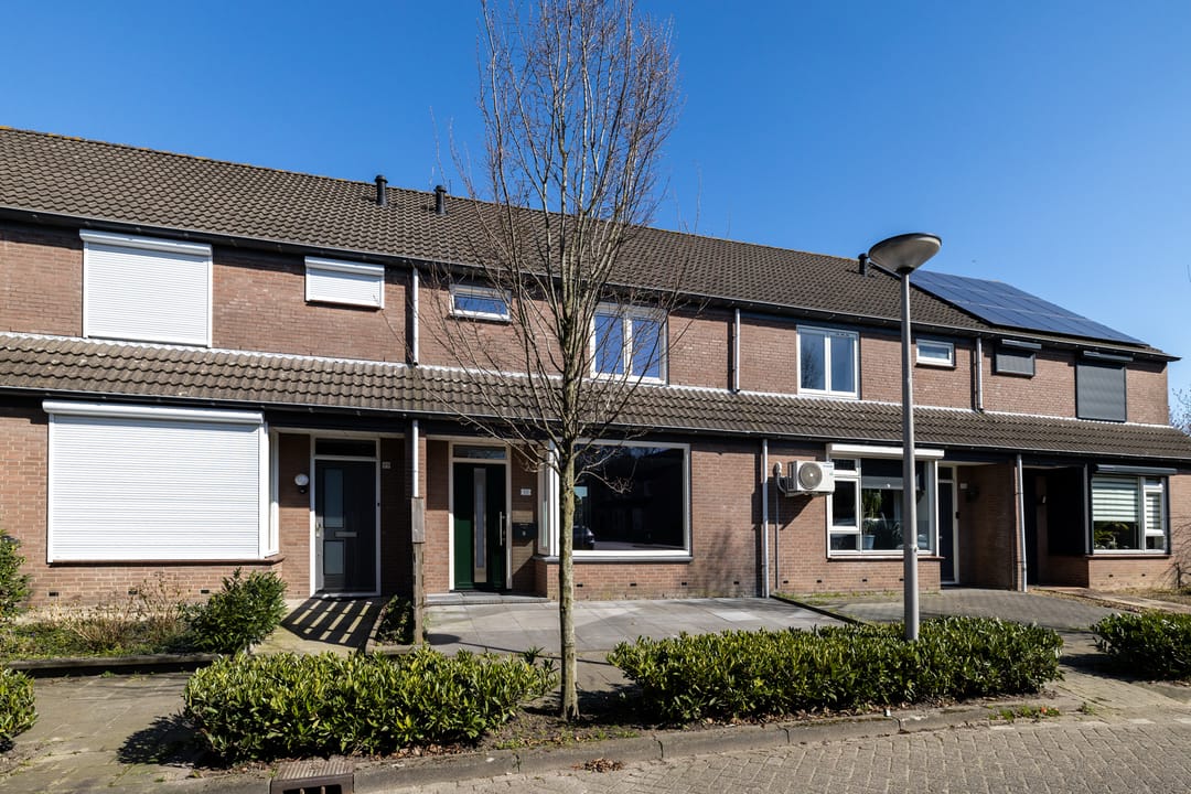 Photo 7 of Zilvermeeuw 101