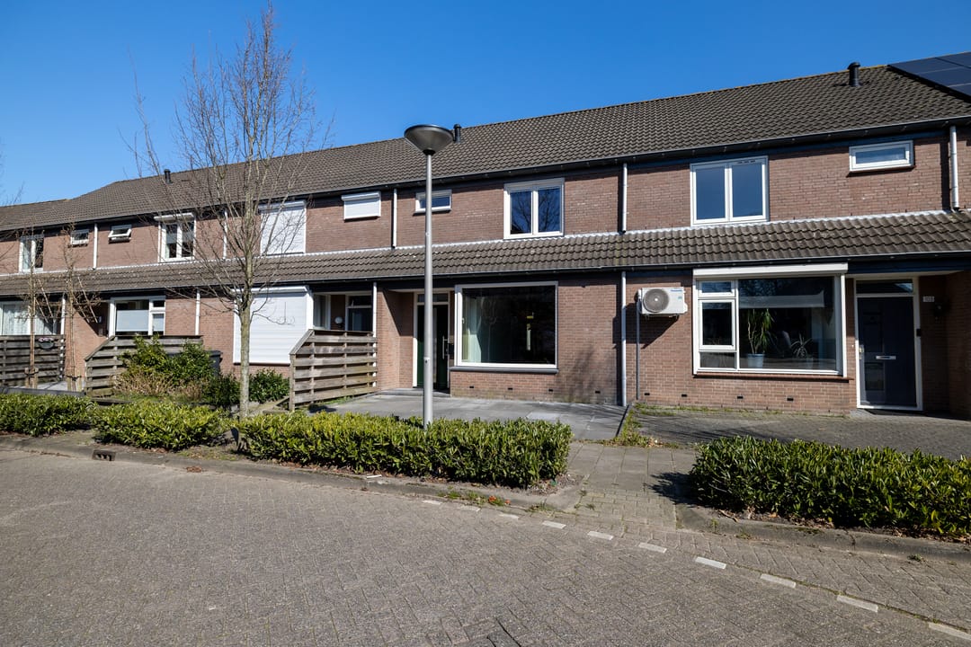 Photo 8 of Zilvermeeuw 101