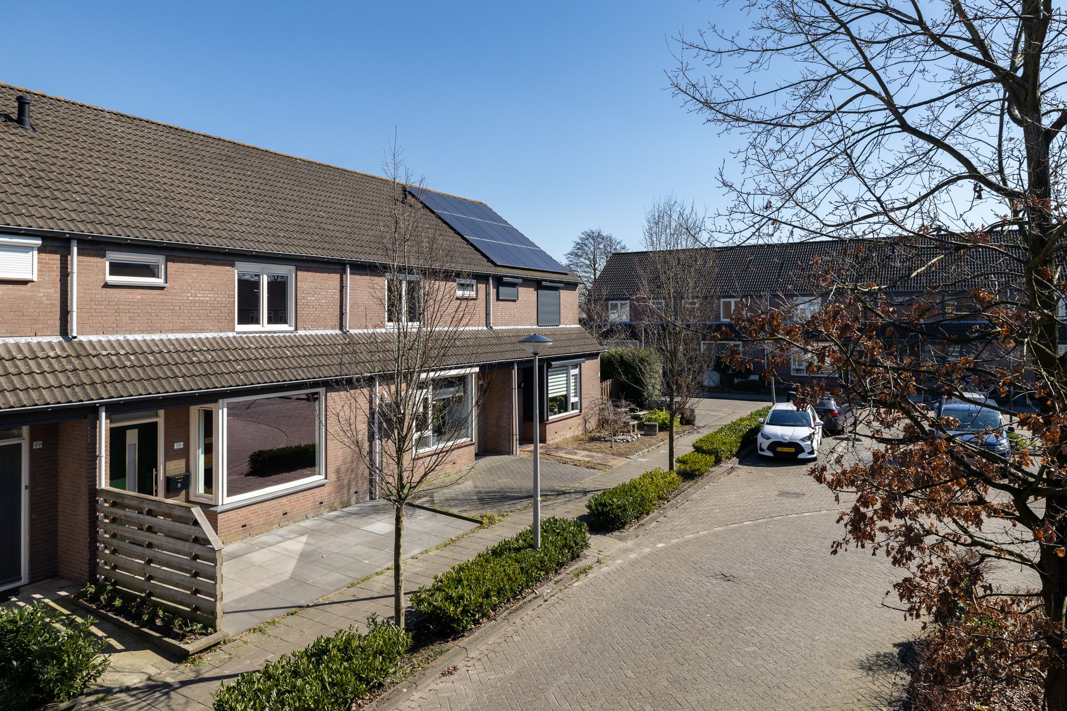 Photo 9 of Zilvermeeuw 101