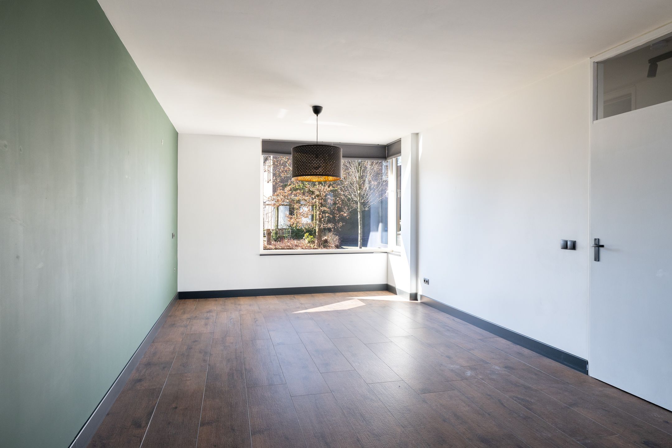 Photo 12 of Zilvermeeuw 101