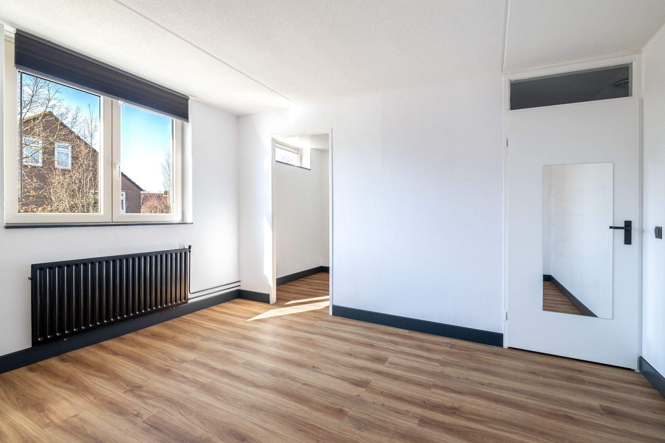 Photo 18 of Zilvermeeuw 101