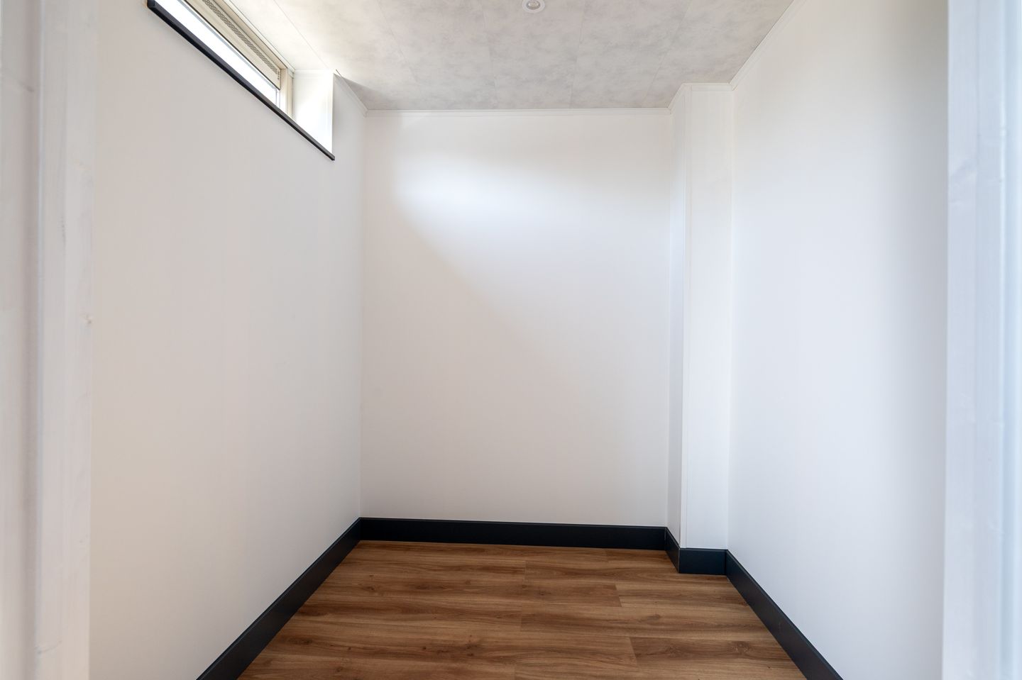 Photo 19 of Zilvermeeuw 101