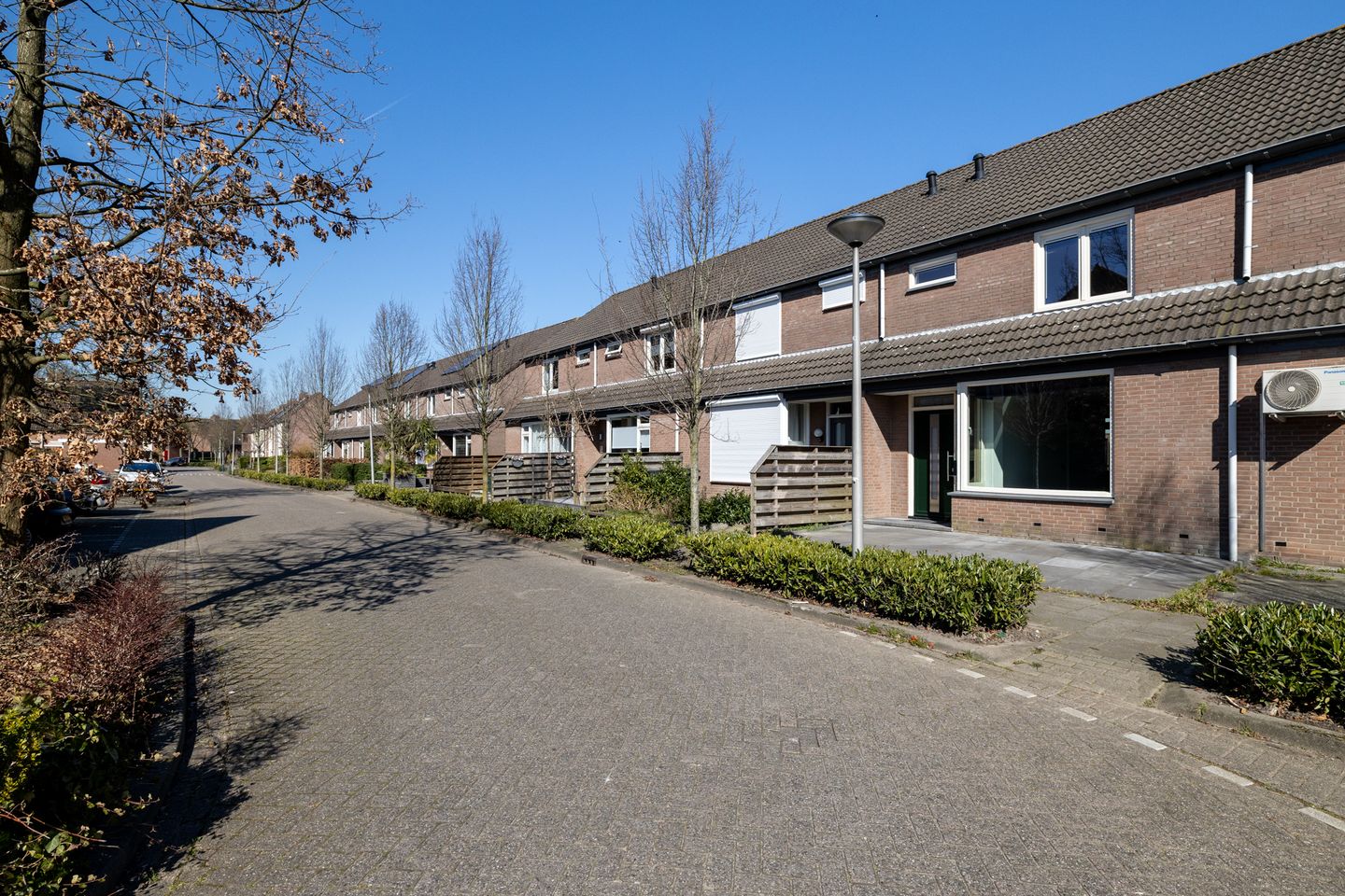 Photo 29 of Zilvermeeuw 101