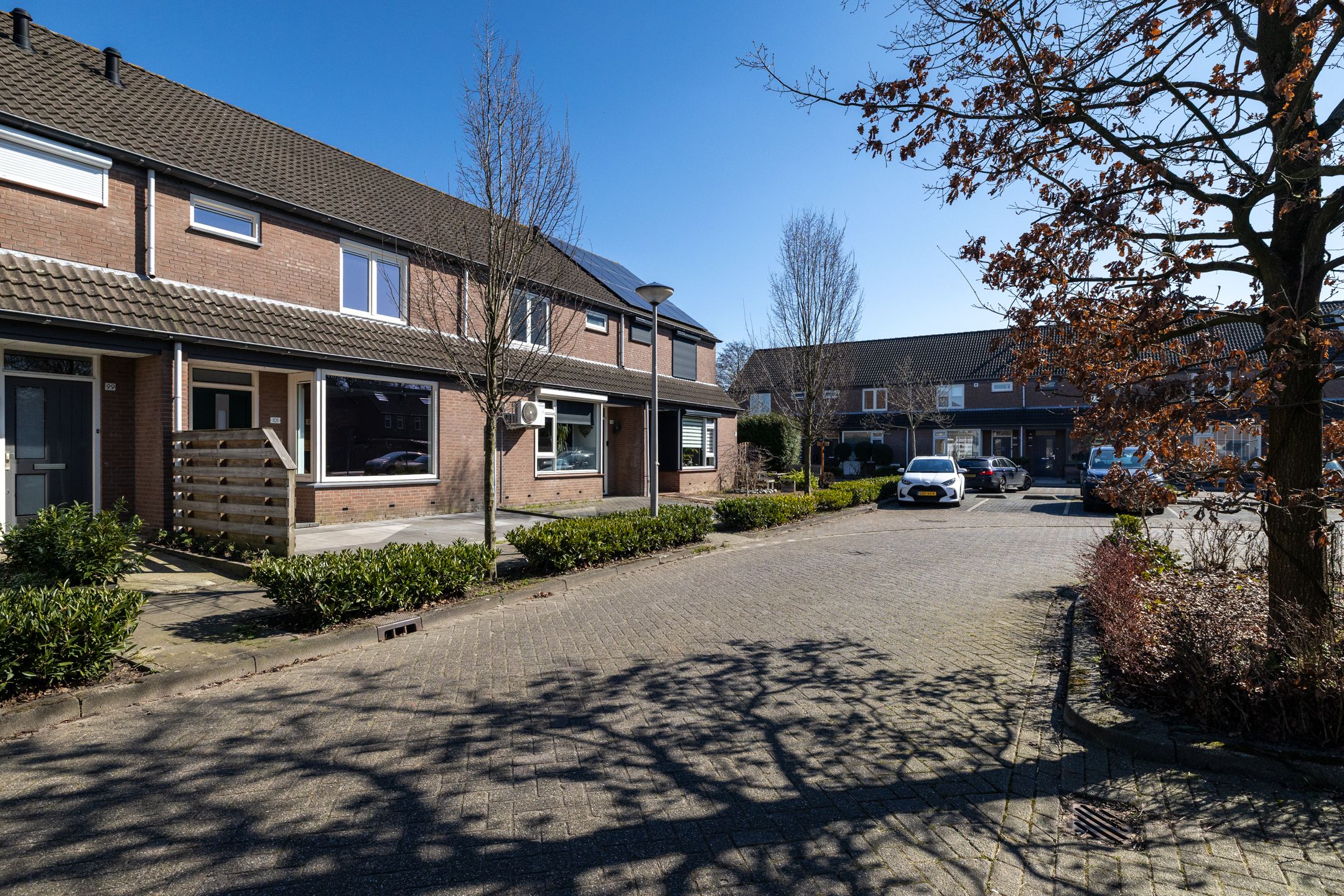 Photo 30 of Zilvermeeuw 101