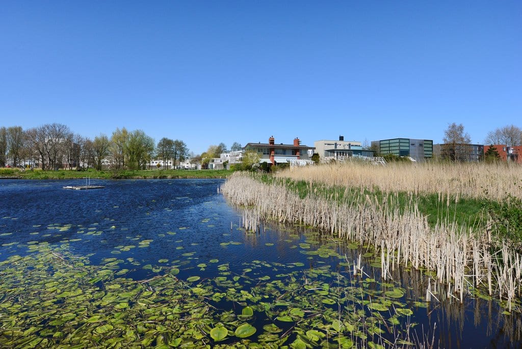 Foto 7 van Straat van Ormoes 141