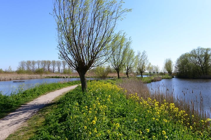 Foto 60 van Straat van Ormoes 141