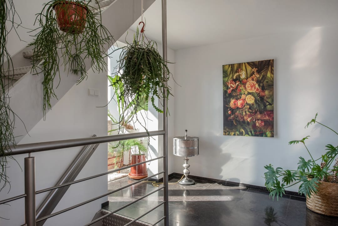 Foto 28 van Straat van Ormoes 141