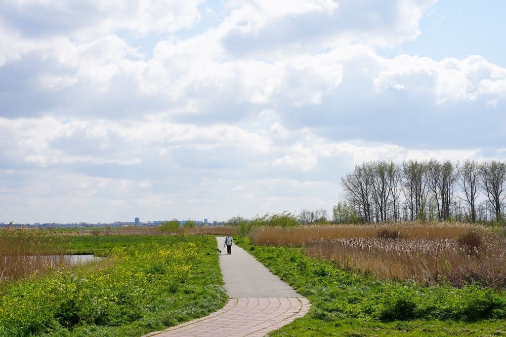 Foto 63 van Straat van Ormoes 141