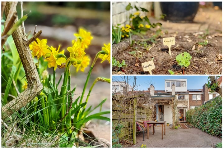 Foto 32 van Werner Helmichstraat 8