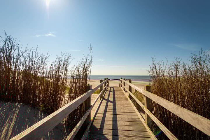 Foto 40 van Krekepad 69