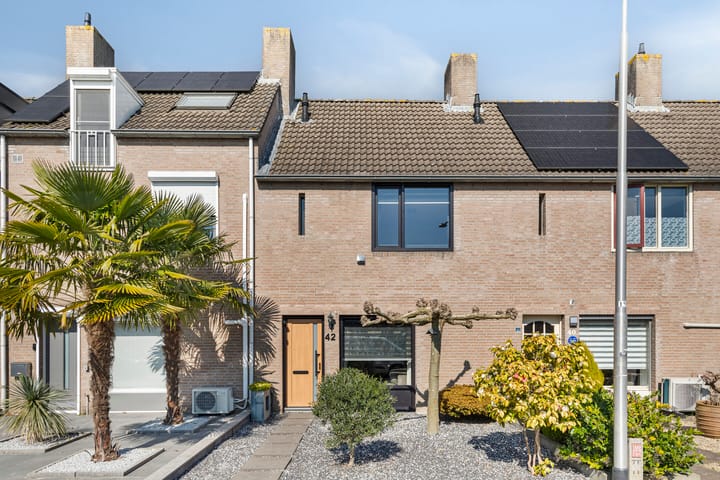 Foto 1 van Anemoon 42