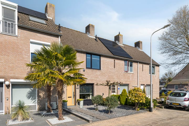 Foto 6 van Anemoon 42