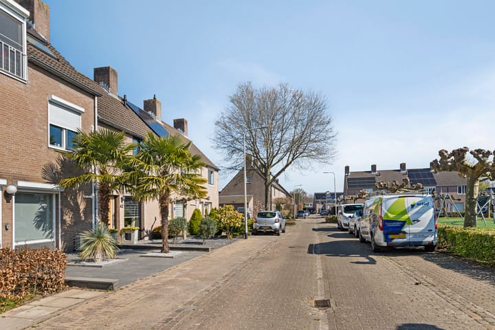 Foto 7 van Anemoon 42