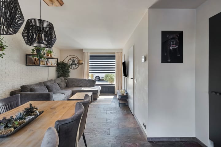 Foto 11 van Anemoon 42