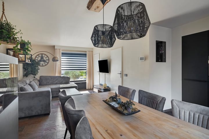 Foto 12 van Anemoon 42