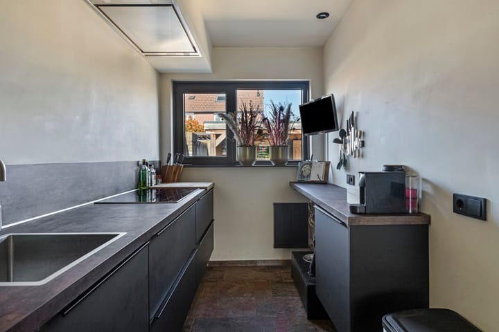 Foto 15 van Anemoon 42