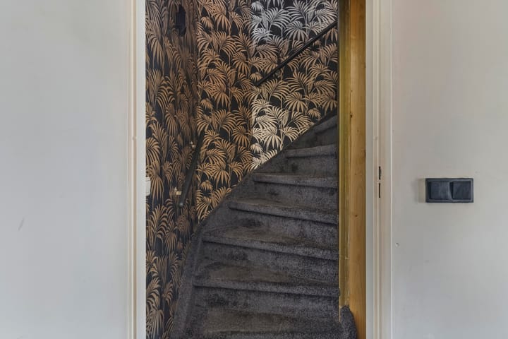 Foto 16 van Anemoon 42