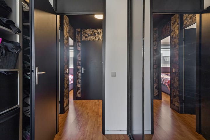 Foto 23 van Anemoon 42