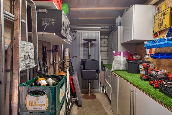 Foto 31 van Anemoon 42