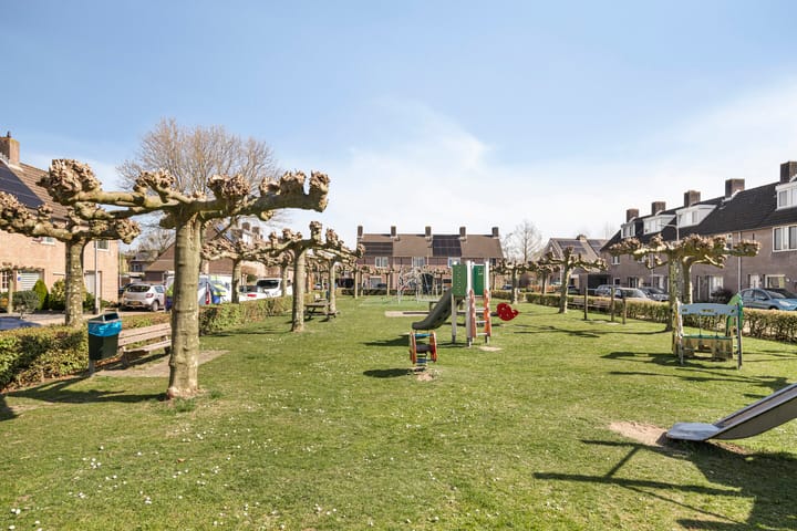 Foto 32 van Anemoon 42