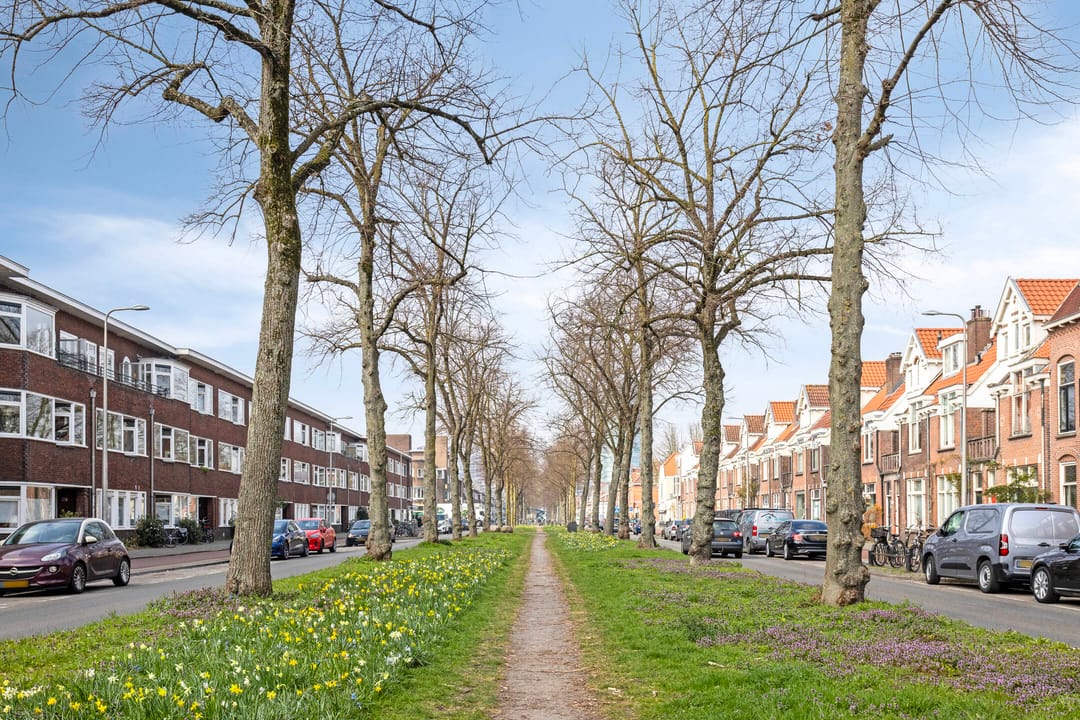 Foto 31 van Bolksbeekstraat 45