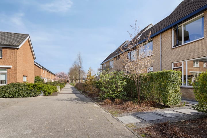 Photo 42 of Rondo 54