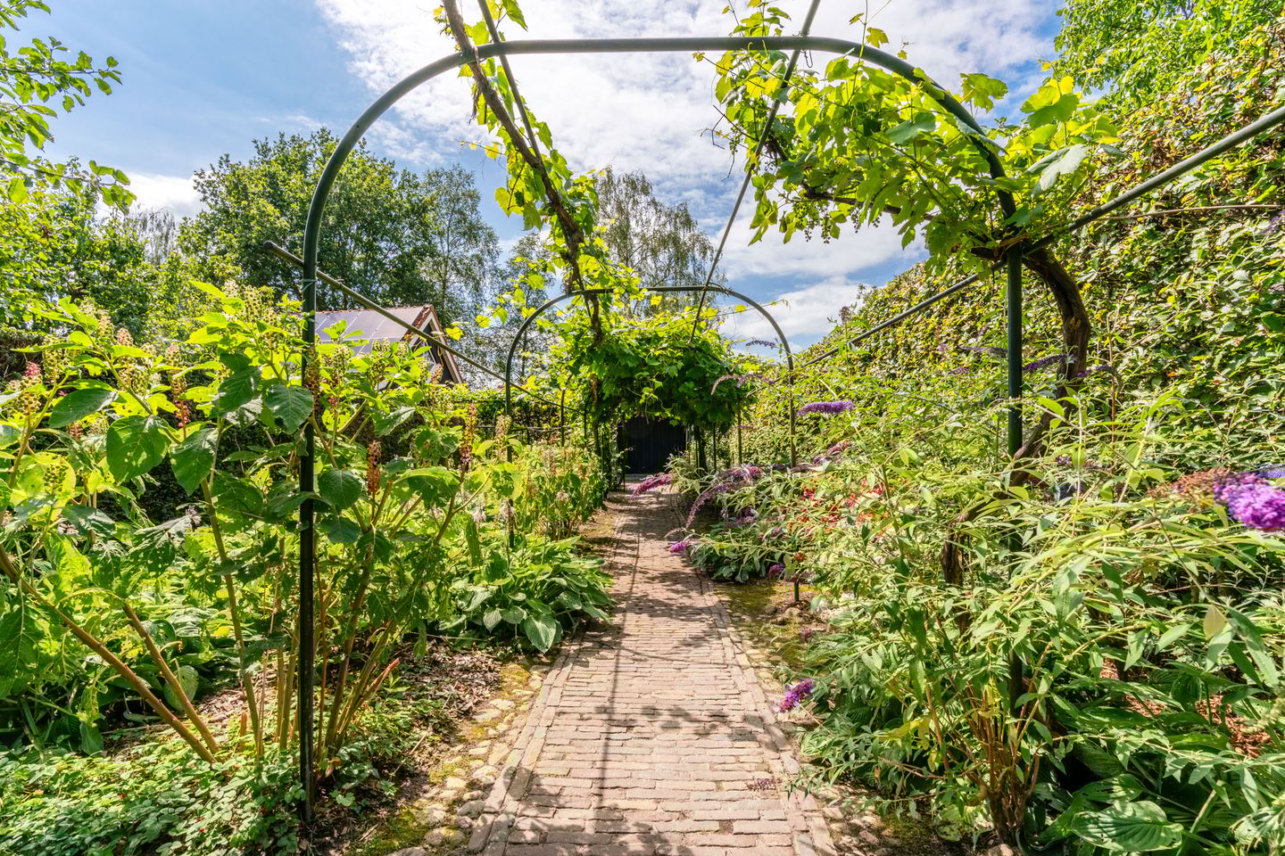 Foto 79 van Kampweg 1