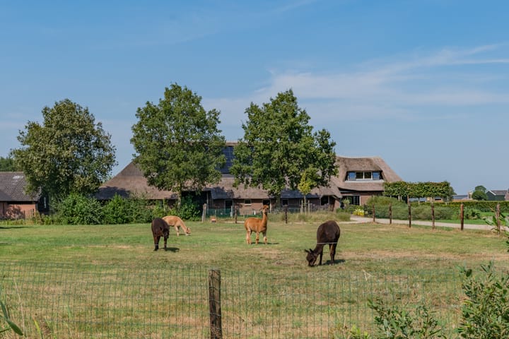 Photo 5 of Roekebosscheweg 6