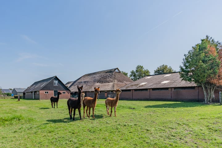 Photo 77 of Roekebosscheweg 6