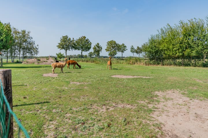 Photo 78 of Roekebosscheweg 6