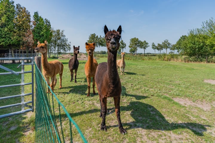 Photo 79 of Roekebosscheweg 6