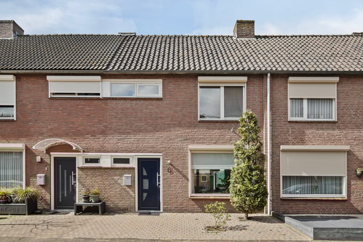 undefined main image