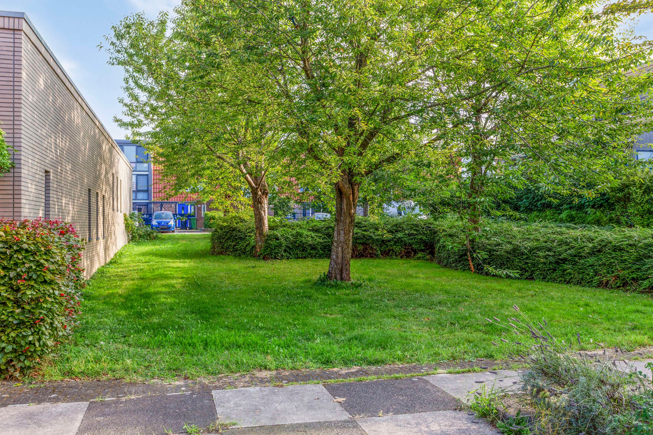 Photo 42 of Polderhoeve 5