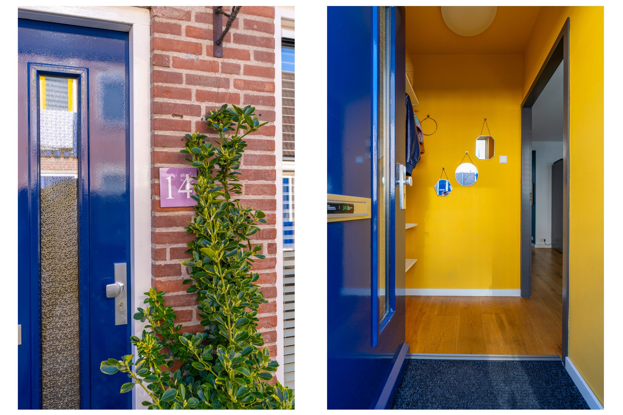 Foto 6 van Schelpstraat 14