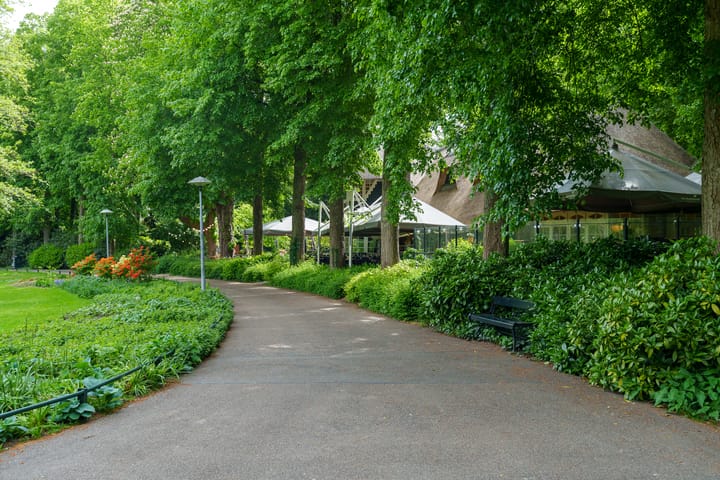 Foto 39 van Schelpstraat 14