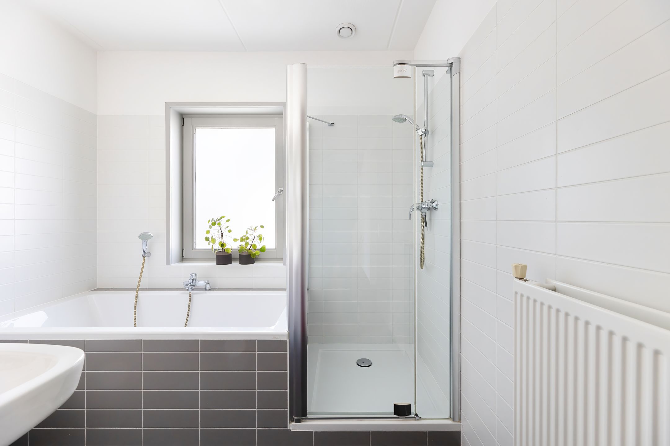 Foto 24 van Jacobsschelp 68