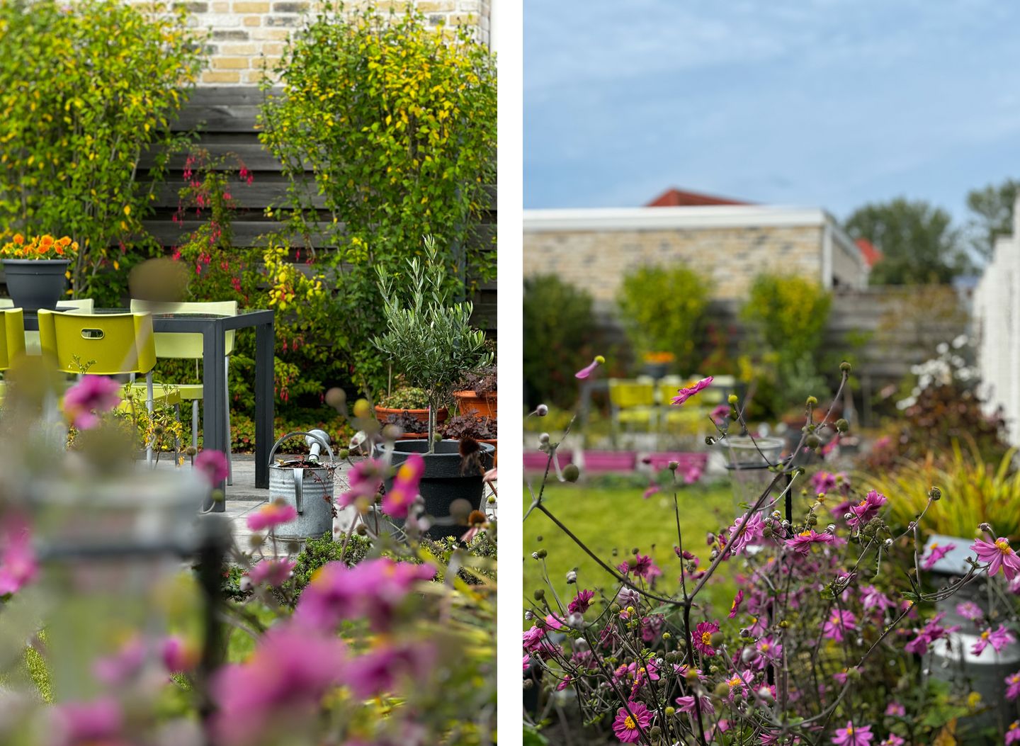 Foto 35 van Jacobsschelp 68