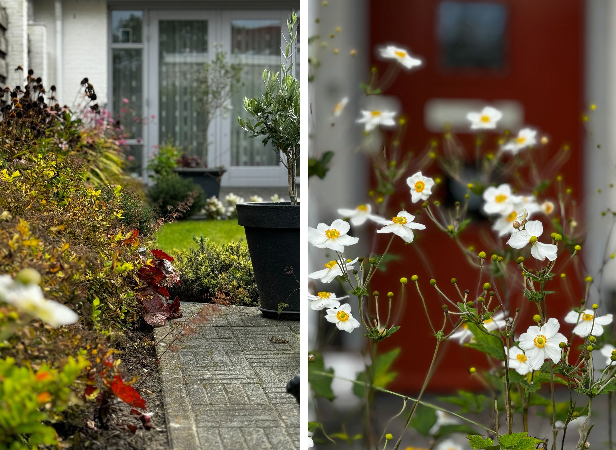 Foto 42 van Jacobsschelp 68